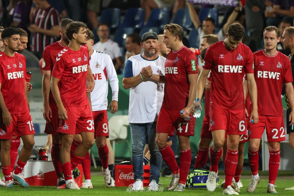 险的认知 险的认知