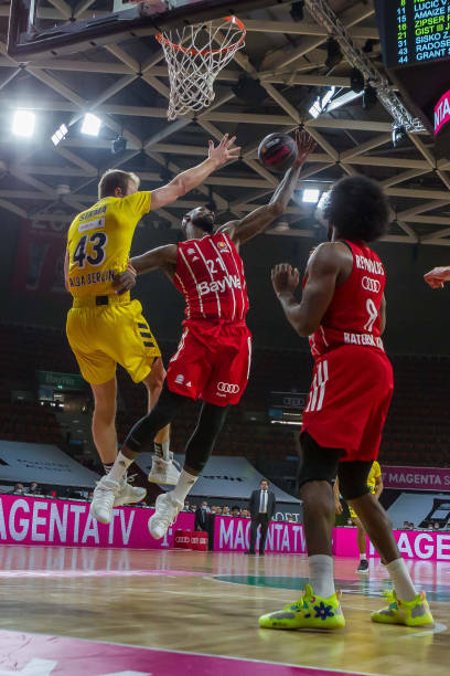 了一个全新 了一个全新