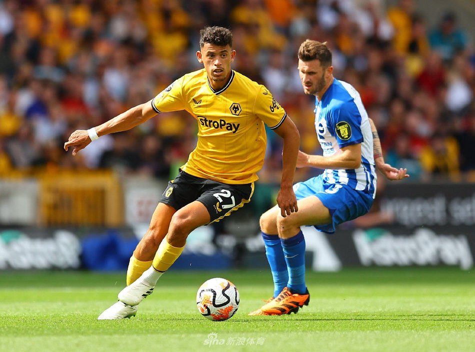 对球队中场 对球队中场